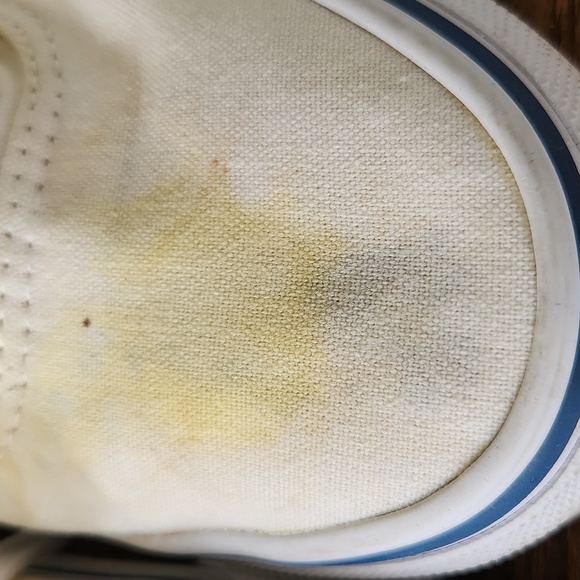 Authentic Vans - Picture 6 of 8